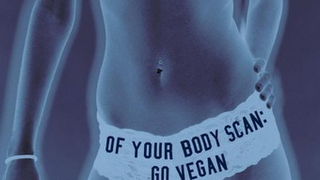 Southwest Rejects Stupid PETA Ad